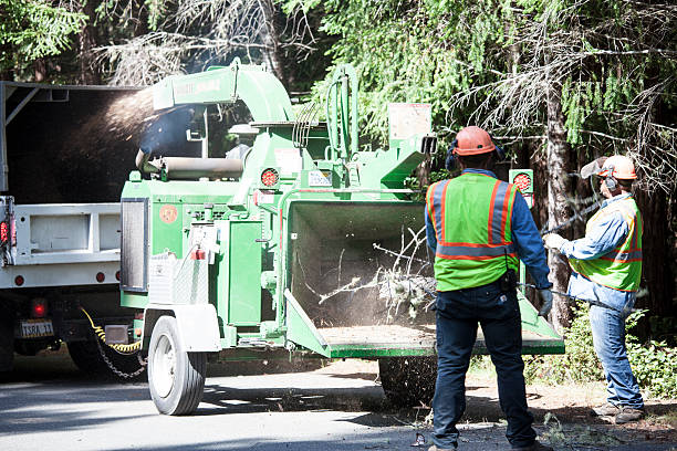 Lawn Watering Services in Mayville, NY